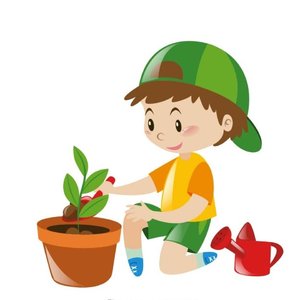 花园种花（在小小的花园里面挖呀挖呀挖）