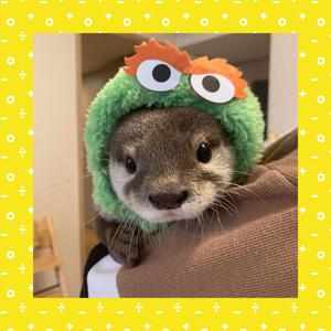Otter