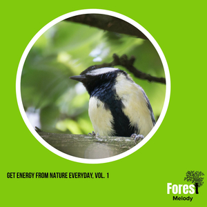 Prolific Spring Bees