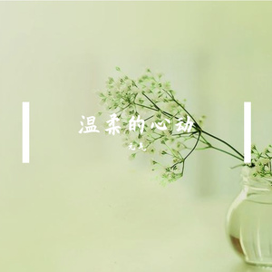 温柔的心动