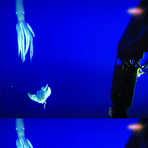 Ranskalainen Parveke