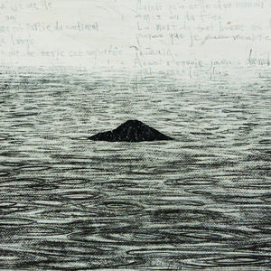 未被回答的问题