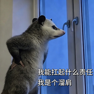 哑巴亏
