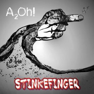 Stinkefinger (Radio)