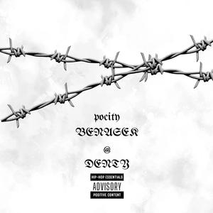 Pocity (feat. benešak69)