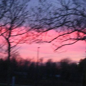 Shed a Light（0.8）