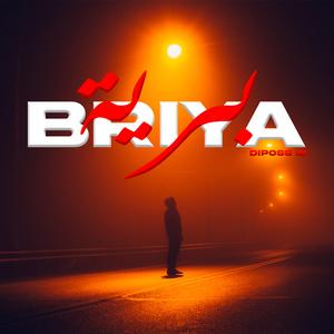 BRIYA