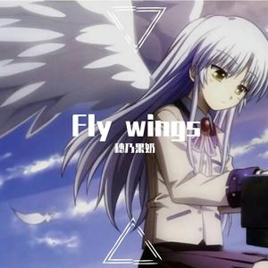 Fly Wings
