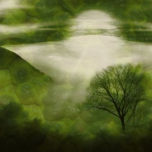 Crimson Reveries in Ambient Chill