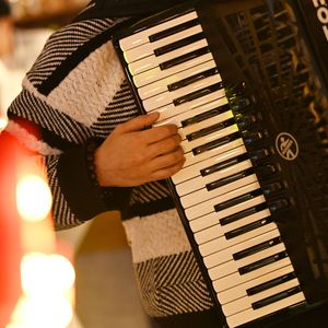 【手风琴】花儿与少年