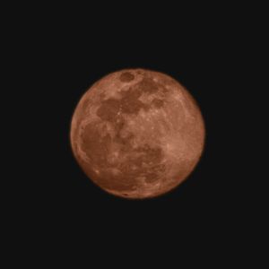 有没有一首歌会让你想起我