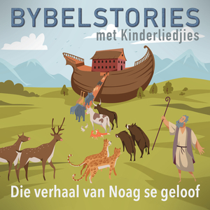 Noag Het 'n Ark Gebou