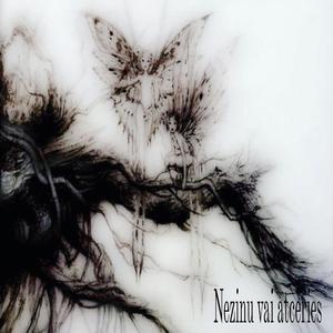 Nezinu vai atceries (feat. tke)