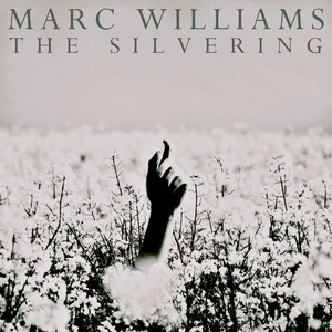 The Silvering