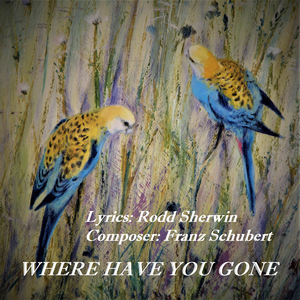Where Have You Gone