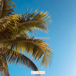 适合办公事务愉悦的音乐