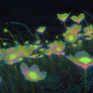 bloominged rainer