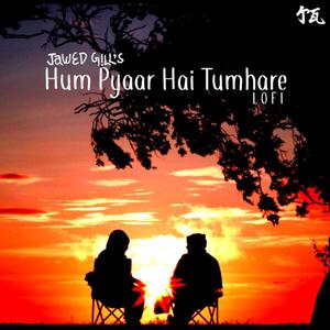 Hum Pyaar Hai Tumhare - Lofi