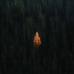 烟火散场（prod by Lion-Z狮子”）