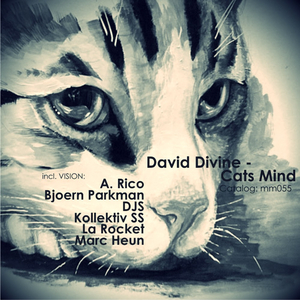 Cats Mind (D.J.S Remix)