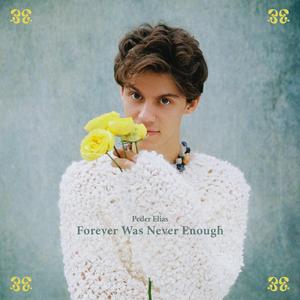 Forever Was Never Enough