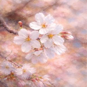 春のふりをした