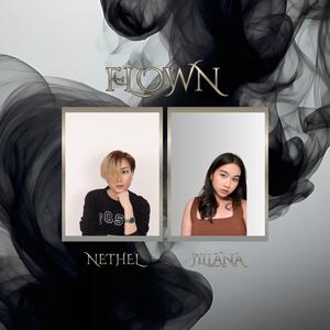 Flown (feat. Jillana)