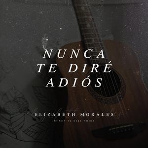 Nunca Te Dire Adios