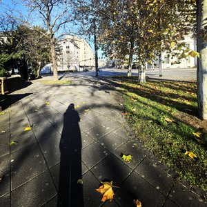 朋友圈的我很快乐