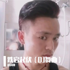 跌宕起伏（DJ舞曲）