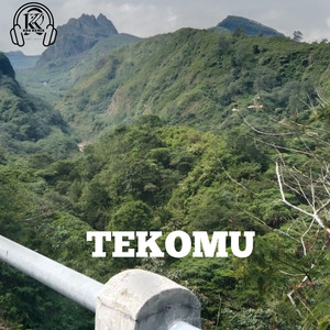 Tekomu (Remix)