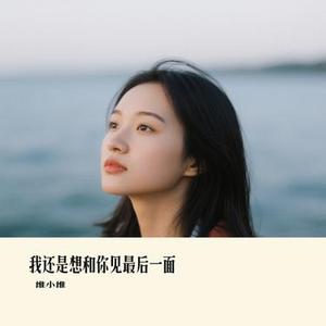 我还是想和你见最后一面 (Cover 潘成 (皮卡潘))