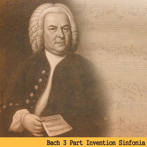 Bach : 3 Part Inventions Sinfornia No.4 In D Minor BWV.790