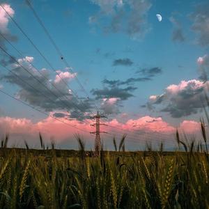 悲しみこそ人生の常態である