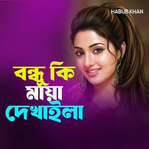 বন্ধু কি মায়া দেখাইলা