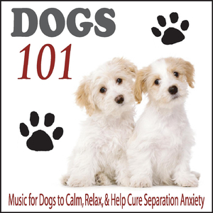 It's a Dog's Life (Music for Dogs 101)