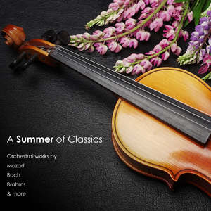 Concerto Grosso in C Minor, Op. 6, No. 8, HWV 326:VI. Allegro