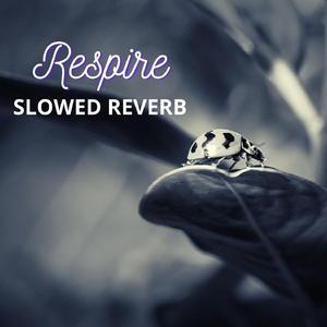 Respire (Slowed & Reverb)