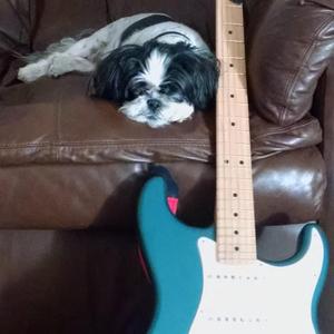 EVH Tribute