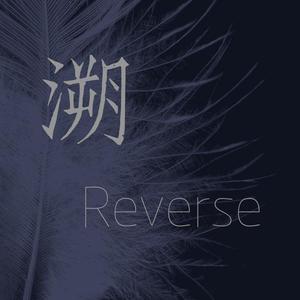 溯Reverse