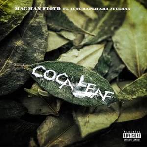 Coca Leaf (feat. Yung Ralph)