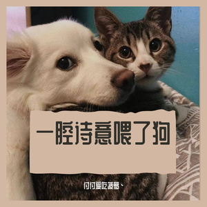 一腔诗意喂了狗
