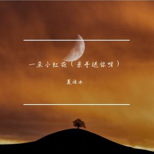 一朵小红花（亲手送你呀）DJ光波版