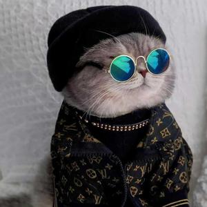 梨花树下的约定