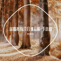 你看我有几分像从前