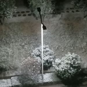 再见（ prod by：old fish）