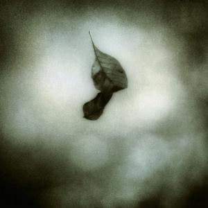 Opiate Sun (Remaster)