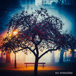 so remoine