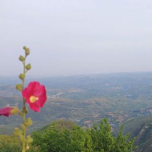 海换了脾气-李不想