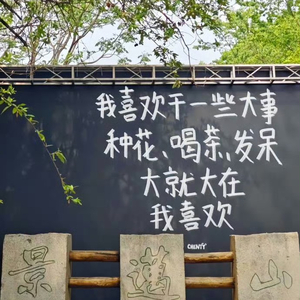 同花顺（cover林倛玉）